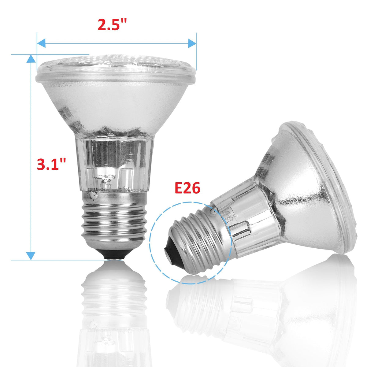 12Vmonster PAR20 3-Pack 50W Halogen Bulbs | E26 Base, 120-130V