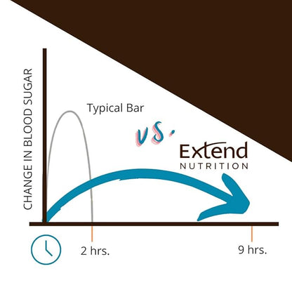 Extend Nutrition Sugar Free High Protein Bars, Perfect Sugar Free Snacks for Diabetes, Protein Bars for Hunger Control & Steady Energy, Low Carb, Keto, Intermittent Fasting, Rich Chocolate, 12 Count