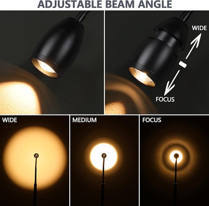 Reading Floor Lamp 10W High Wattage, 72" Tall LED Lamp with Gooseneck, Dimmable Zoomable Spotlight, Adjustable Color Beam Standing Lamp, Touch & Remote Control, Task Craft Living Room, Matte Black