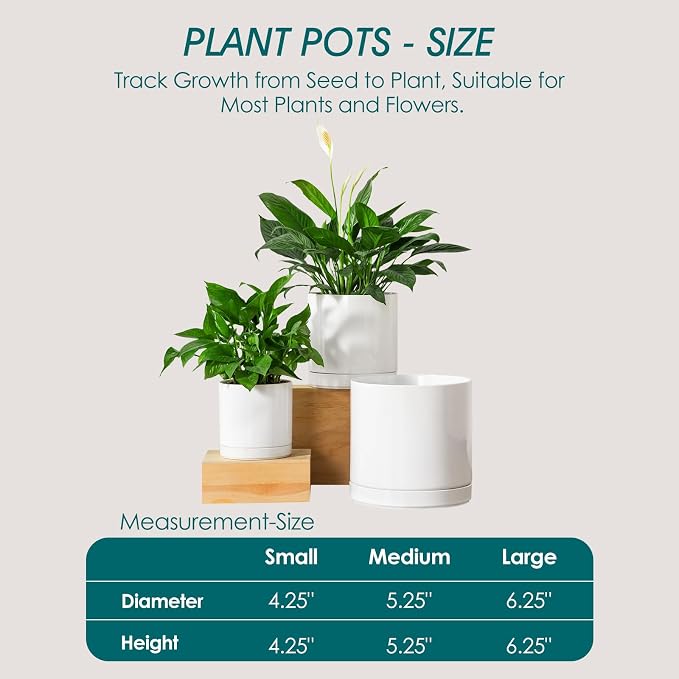 vancasso Ceramic Planters, Plant Pots for Indoor Plants, 6.25+8.25+10.25 Inch Ceramic Pots for Plants, Flower Pots with Drainage Holes, Planters Pot for Indoor House Plant, Set of 3, White