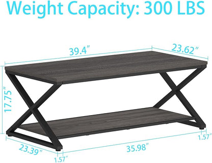 HSH Gray Storage Coffee Table, Modern Center Table