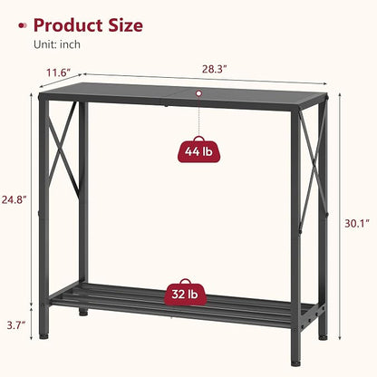 Tajsoon Small Entryway Table, 2-Tier Narrow Consle Table