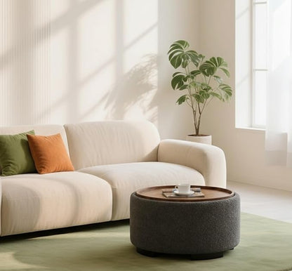 29.5 Inch Round Storage Ottoman Coffee Table, Modern Circle Coffee Table