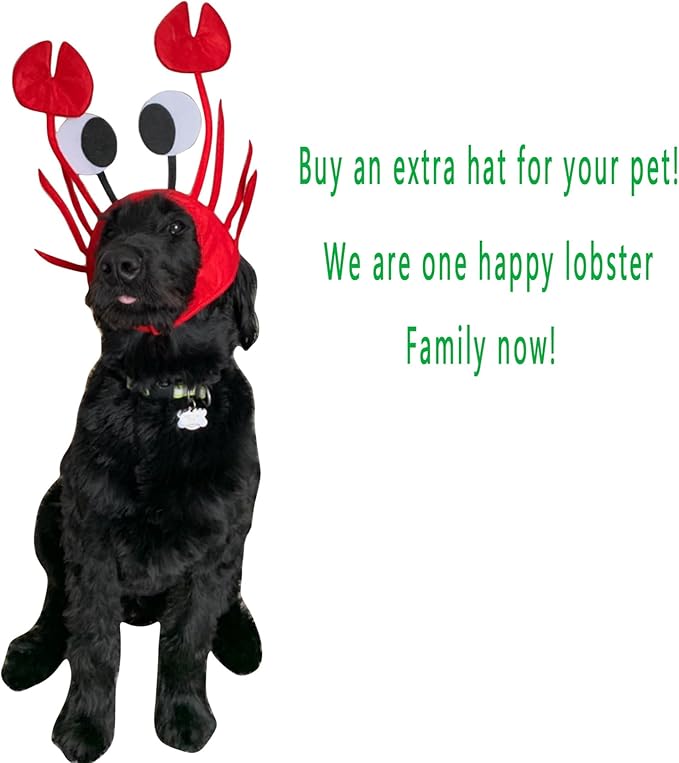 Crab Hat Set- Funny Party Hats Dress Up Crazy Theme Party Roleplay Hats Set Novelty 3D Crab Hat for Unisex