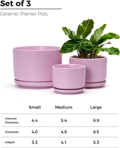 Ton Sin Pink Flower Pots,Ceramic Planter Pot for Indoor Plants,Set of 3 Flower Pot with Drainage Holes and Tray,Cute House Plant Pot for Succulent, Orchid, Cactus(Matte Pink)