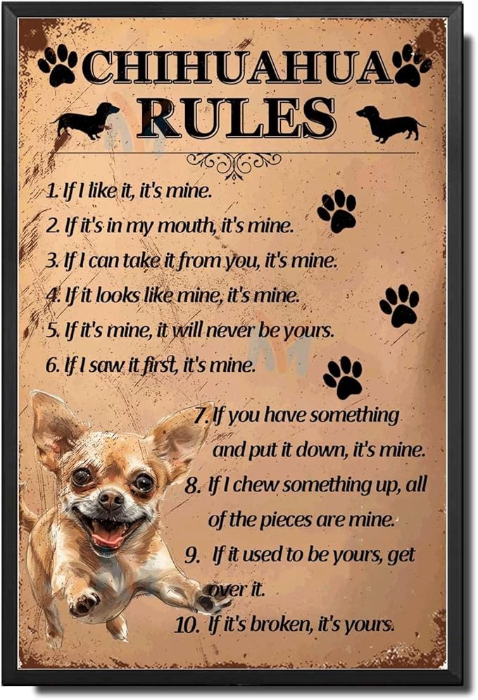 Metal Sign Tin Sign Vintage Wall Art Chihuahu Rules Boho Office Decor for Bar 6×8 Inches with Metal Frame