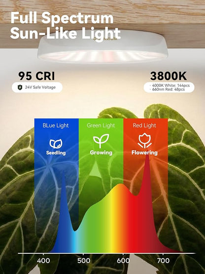 GLOWRIUM Grow Lights for Indoor Plants, Full Spectrum Puck Grow Light with Manual & APP Control, 48W(6 x 8W) Plant Lamp Auto-Timer, Plant Assistant 10 Levels Dimmable for Plant Shelf (6 Packs,White)