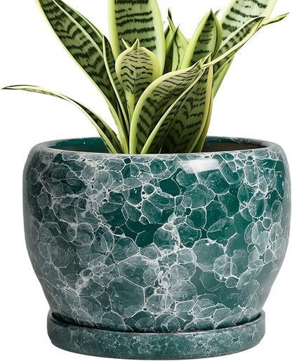 SQOWL Ceramic Pot for Plants - 6 Inch Ceramic Planter with Drainage Hole and Saucer, Round Flower Pot for Indoor Outdoor, Decorative Small Planter, Room Home Decor, Plant Lover Gifts, Green