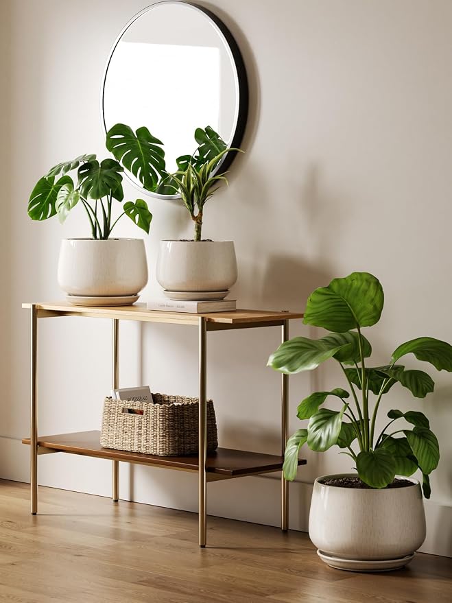 LE TAUCI Ceramic Planter, 10 Inch Plant Pot with Drainage Hole & Saucer – Durable Indoor Planter for Modern Home Decor, Reactive Glaze Beige