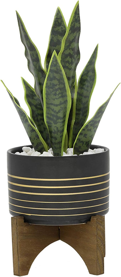 Flora Bunda Mid Century 4.75 inch Ceramic Planter on Wood Stand Great for Succulent Desktop Black/Gold Line