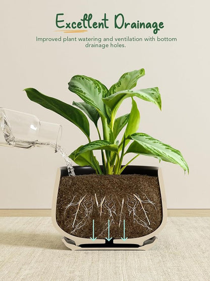 LE TAUCI Plant Pots, 4.1+5.1+6.5 inch, Set of 3, Ceramic Planters with Drainage Hole and Saucer, Indoor Flower Pot with Hole Mesh Pad, Gifts for Mom, Black