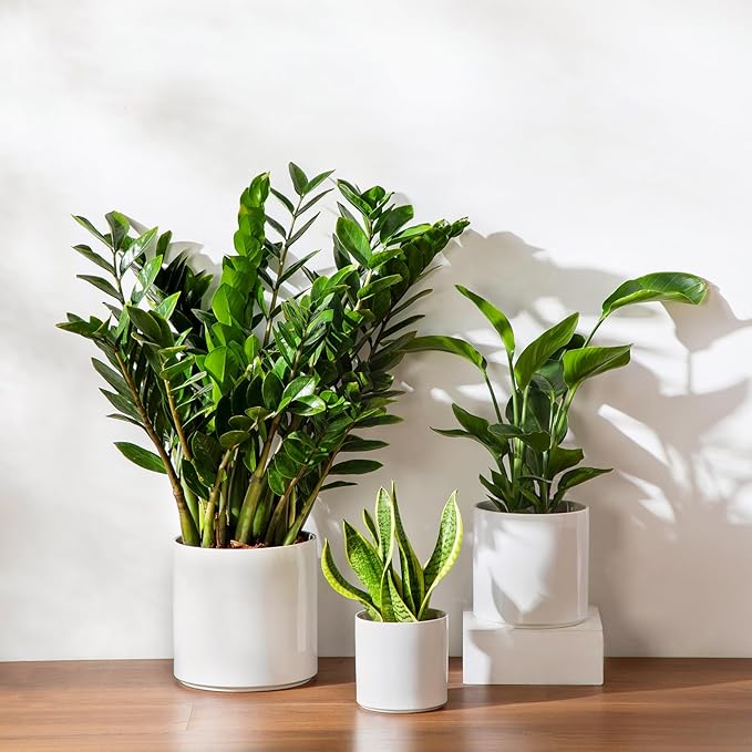 vancasso 6"+8"+10" Ceramic Pot for Plants, Large Outdoor Indoor Planter Pots with Drainage Holes, Set of 3, White