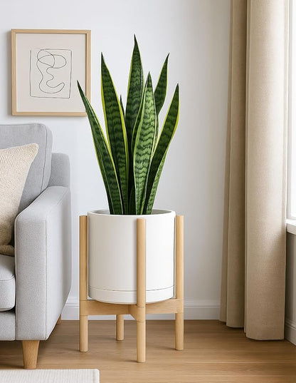 D'vine Dev Ceramic Planter with Natural Stand - 12 Inch Modern Round Flower Pot with Wood Planter Holder, Oatmeal, 55-B-J-8