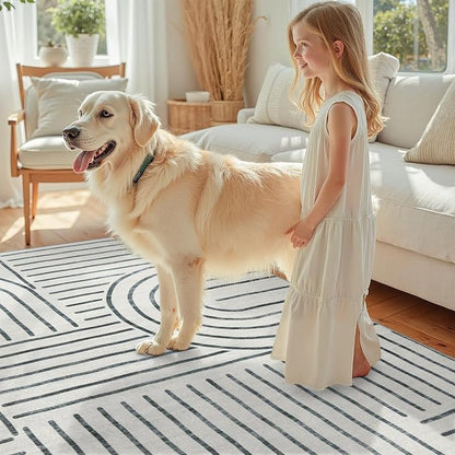 DCX Abstract Machine Washable 9x12 Rug, Gray Modern Accent Rug for Living Room, Soft Low Pile Non Slip Carpet, Kid & Pet Friendly Stain Resistant Rug for Bedroom Dining Room Office