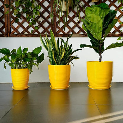 12 Inch Pots for Plants - Ceramic Planter for Indoor Plants Large Plant Pot with Drainage Hole and Saucer Round Outdoor Flower Pot for Garden Home Patio Office Yellow