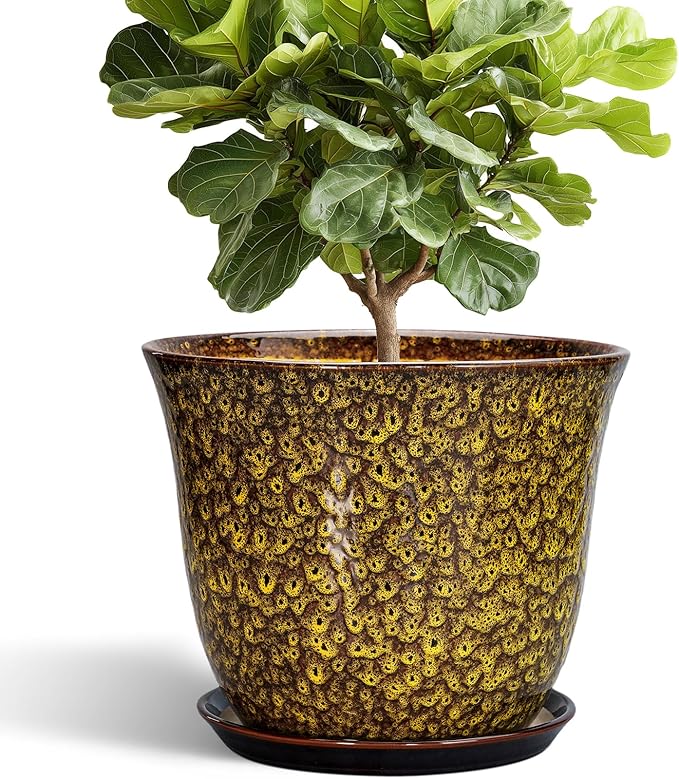 12 Inch Plant Pot - Ceramic Pots for Plants with Drainage Hole and Saucer, Round Planter for Indoor Outdoor, Large Flower Pots, Modern Planter, Patio House Decor, Plant Lovers Gifts, Yellow