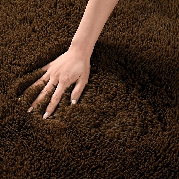 Andecor Shag Area Rug for Living Room, 4x6 Feet Coffee Soft Fluffy Indoor Plush Throw Rugs for Bedroom Girls Kids Room Nursery Dorm Home Decor Carpet