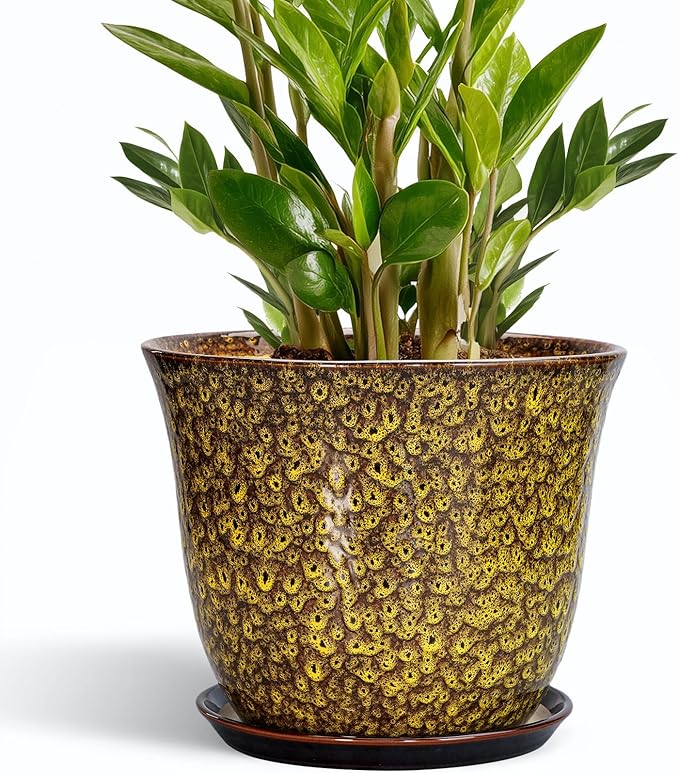 Ceramic Pots for Plants - 10 Inch Plant Pot for Indoor Outdoor, Round Planter with Drainage Hole and Saucer, Modern Flower Pot, Decorative Planters, Home Garden Decor, Birthday Gift, Yellow