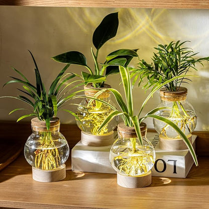 Propagation Stations, Plant Propagation Station with Light Base, Glass Propagation Vases, Hydroponic Vase for Plants, Glass Terrarium for Home Office Windowsill Tabletop Decoration (5)