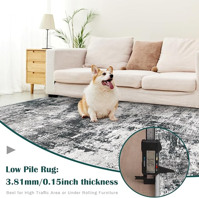 5x7 Area Rug for Living Room: Washable Abstract Soft Rugs Non Slip Modern Stain Resistant Low Pile Carpet for Dining Room Bedroom Nursery Office (Black Grey, 5'x7')