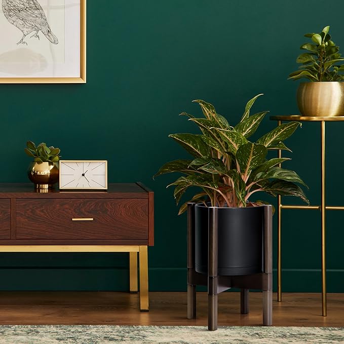 D'vine Dev Planter Pot with Stand - 8 Inch Plastic Cylinder Flower Pot with Wood Planter Holder for Indoor, Matte Black Pot + Walnut Color Stand, 55-C-I-2