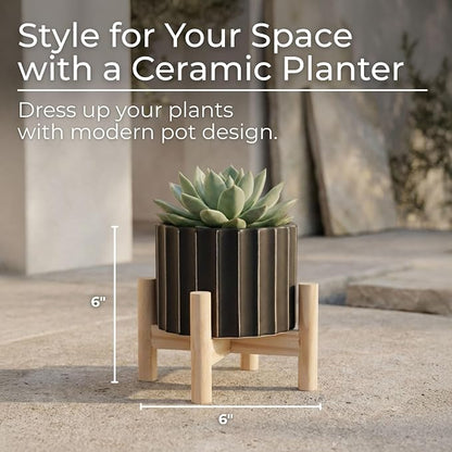 Ceramic Planter with Elevated Stand – Wood Indoor Plant Stand, Display for Greenery, Shelf or Patio Placement – Textured Modern Planter Pot for Elevated Display, Home Decor, Outdoor Decor – 6", Black