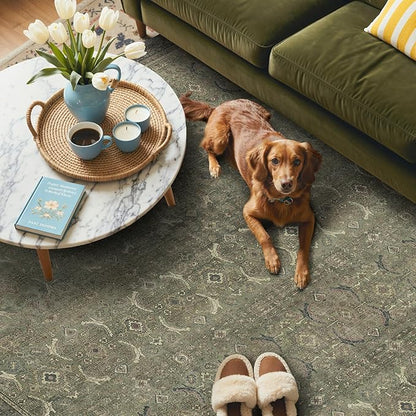 GENIMO 6x9 Area Rugs for Living Room, Machine Washable Non Slip Vintage Rugs, Low Pile Lightweight Chenille Print Rug for Bedroom, Dining Room, Home Office, Muted Green