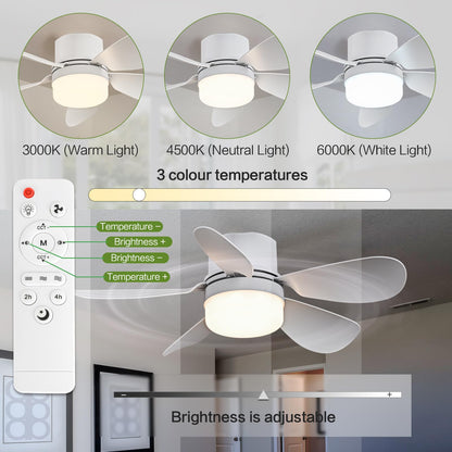 ASALL Socket Fan Light with Remote – Dimmable, 1000 Lumens, E26/E27 Ceiling Fan