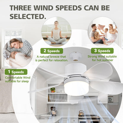 ASALL Socket Fan Light with Remote – Dimmable, 1000 Lumens, E26/E27 Ceiling Fan