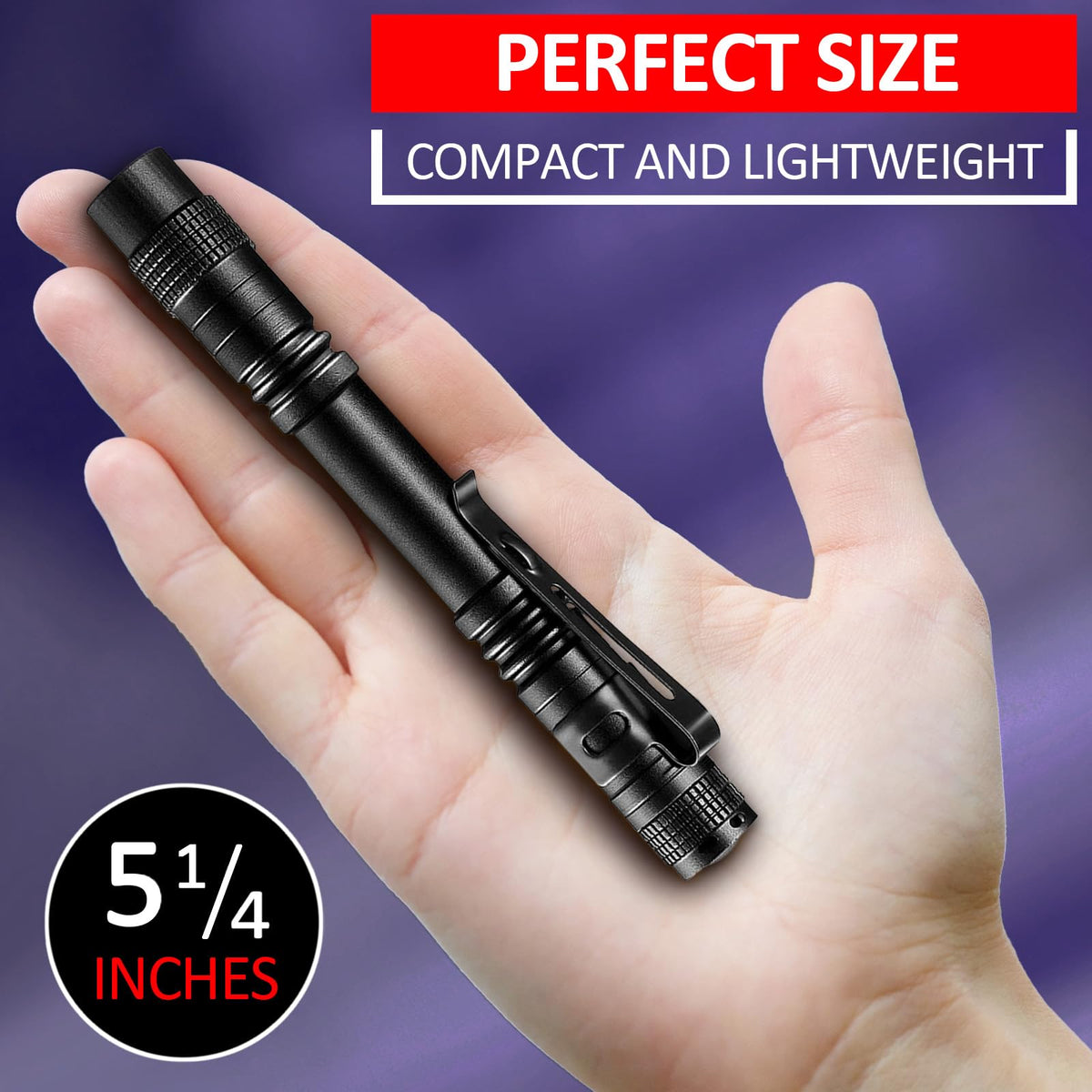 Beieverluck 10-Pack UV Blacklight Flashlight 395nm Pen Light with Clip – Detect Stains & Bed Bugs