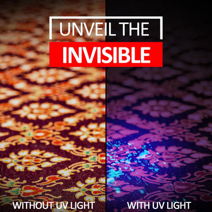 Beieverluck 10-Pack UV Blacklight Flashlight 395nm Pen Light with Clip – Detect Stains & Bed Bugs