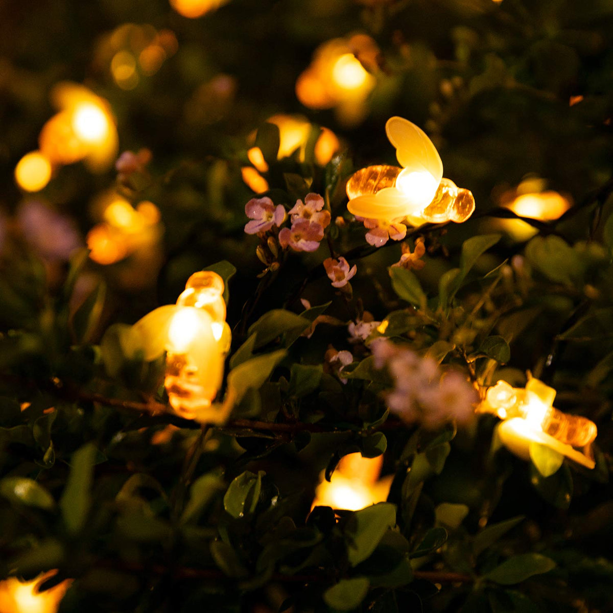 Brightown Solar Bee String Lights – 31ft Outdoor 50 LEDs, 8 Modes, Waterproof Warm White