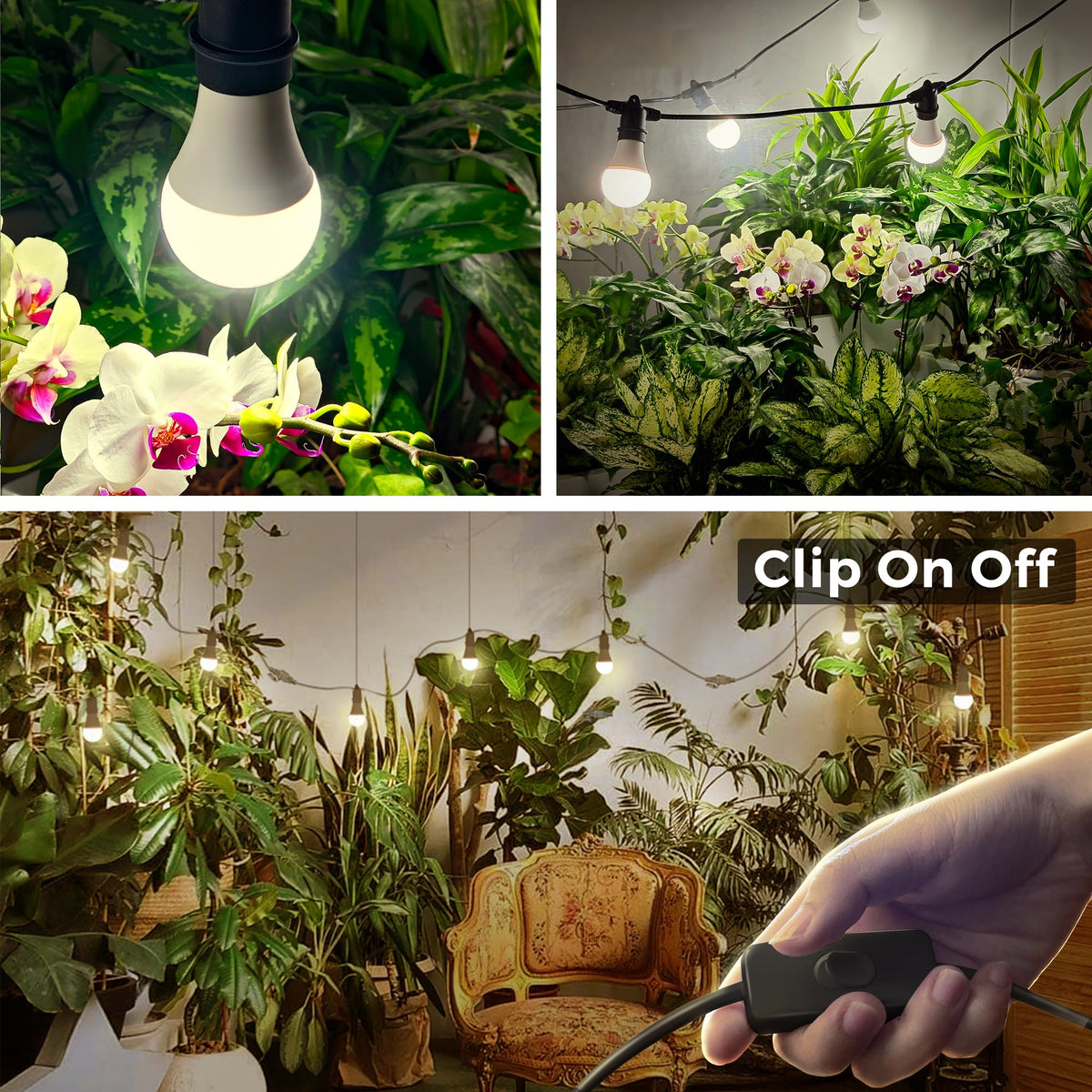 Briignite Hanging Grow Light | 3 LED Full Spectrum, 8.86 ft Cord, Replaceable Bulbs, Linkable