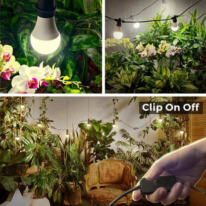 Briignite Hanging Grow Light | 3 LED Full Spectrum, 8.86 ft Cord, Replaceable Bulbs, Linkable