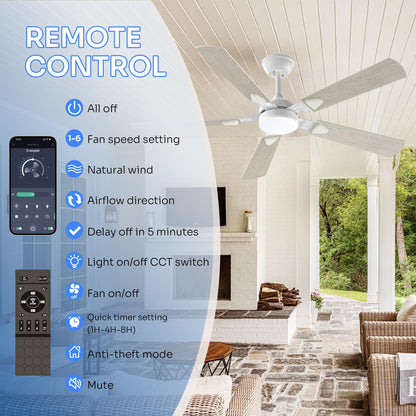 Crazypai 52-Inch Ceiling Fan with Lights | DC Motor, Remote, 3CCT, Reversible