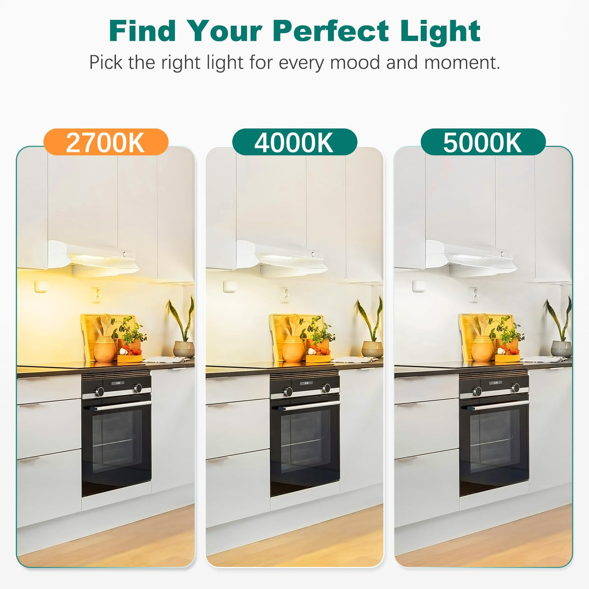 DiCUNO G8 LED Bulb Dimmable – 2W, 2700K, 120V, 10-Pack