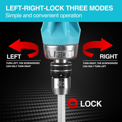 DURATECH 2PC Ratcheting Screwdriver Set — 12-in-1 Standard & Stubby with Quick-Load Bits
