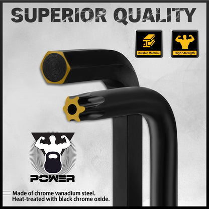 ELEAD 41-Piece Hex Key Set with Torque Handle — SAE/Metric & Torx