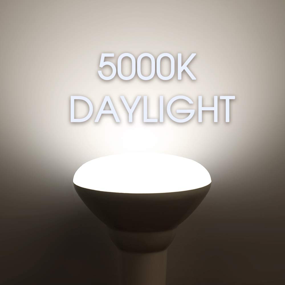 Energetic Lighting BR30 LED Flood Light Bulbs – 65W Equivalent, Dimmable, Daylight 5000K, Damp Rated, 6-Pack