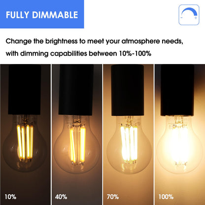 Energetic Lighting Dimmable A19 LED Edison Bulb – 12W (100W Eq), 1600LM, 3000K, E26, 6-Pack