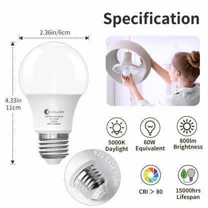 evelor A19 LED Bulbs – 60W Equivalent, 5000K Daylight, E26, 9W, 800 lm, 12-Pack