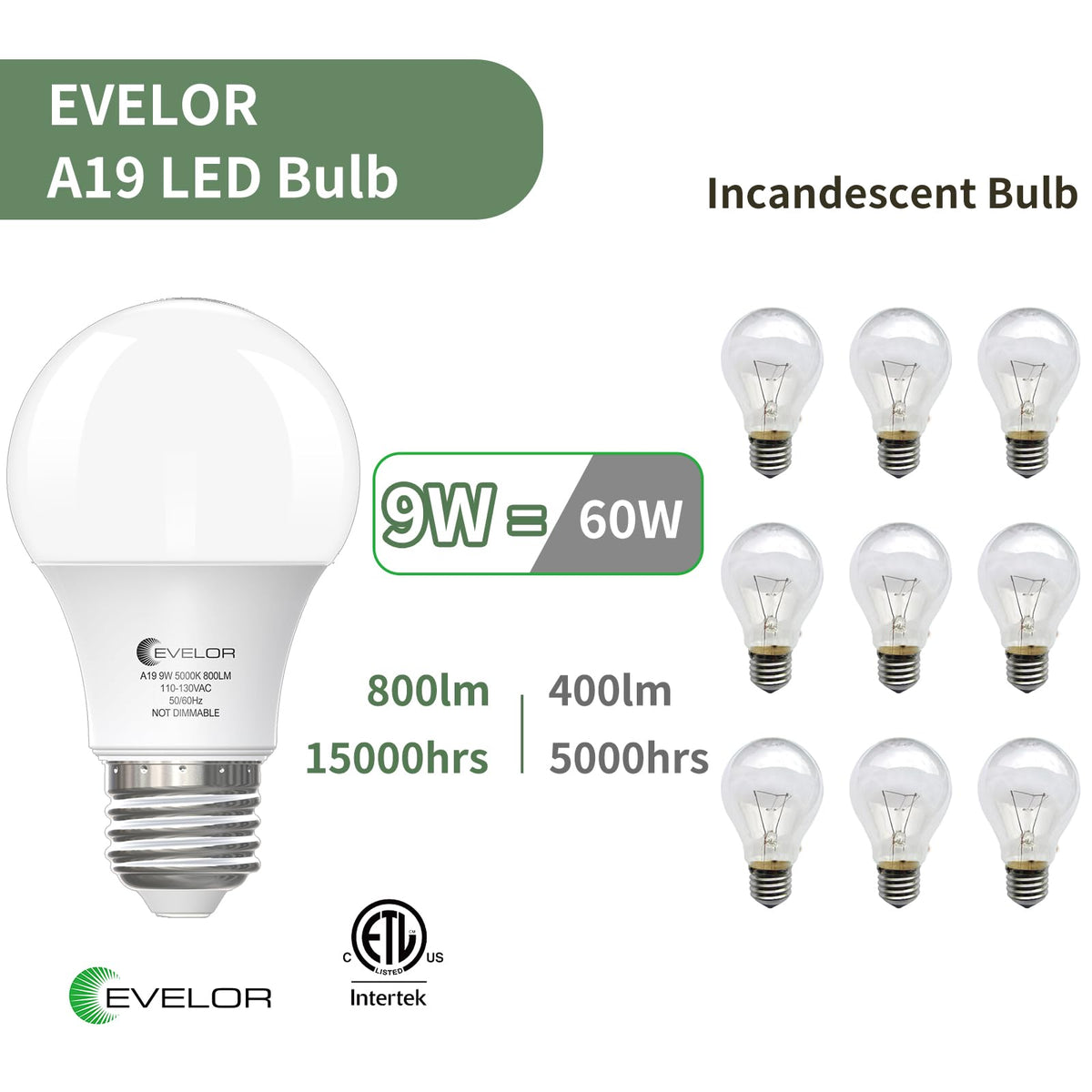 evelor A19 LED Bulbs – 60W Equivalent, 5000K Daylight, E26, 9W, 800 lm, 12-Pack