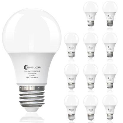 evelor A19 LED Bulbs – 60W Equivalent, 5000K Daylight, E26, 9W, 800 lm, 12-Pack