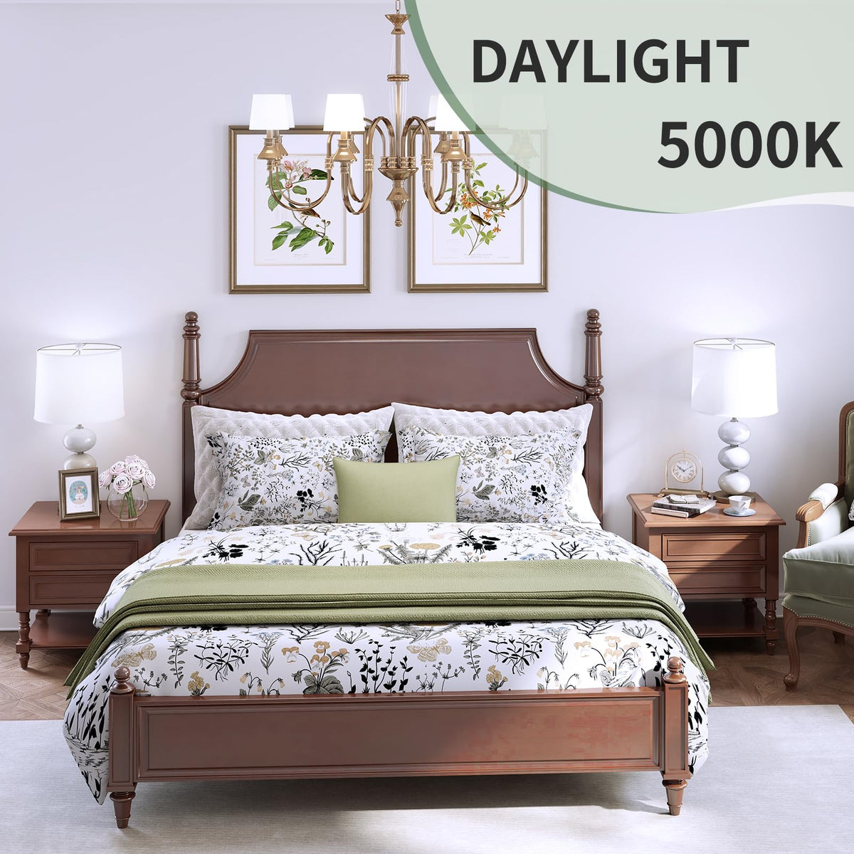 evelor A19 LED Bulbs – 60W Equivalent, 5000K Daylight, E26, 9W, 800 lm, 12-Pack