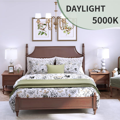 evelor A19 LED Bulbs – 60W Equivalent, 5000K Daylight, E26, 9W, 800 lm, 12-Pack