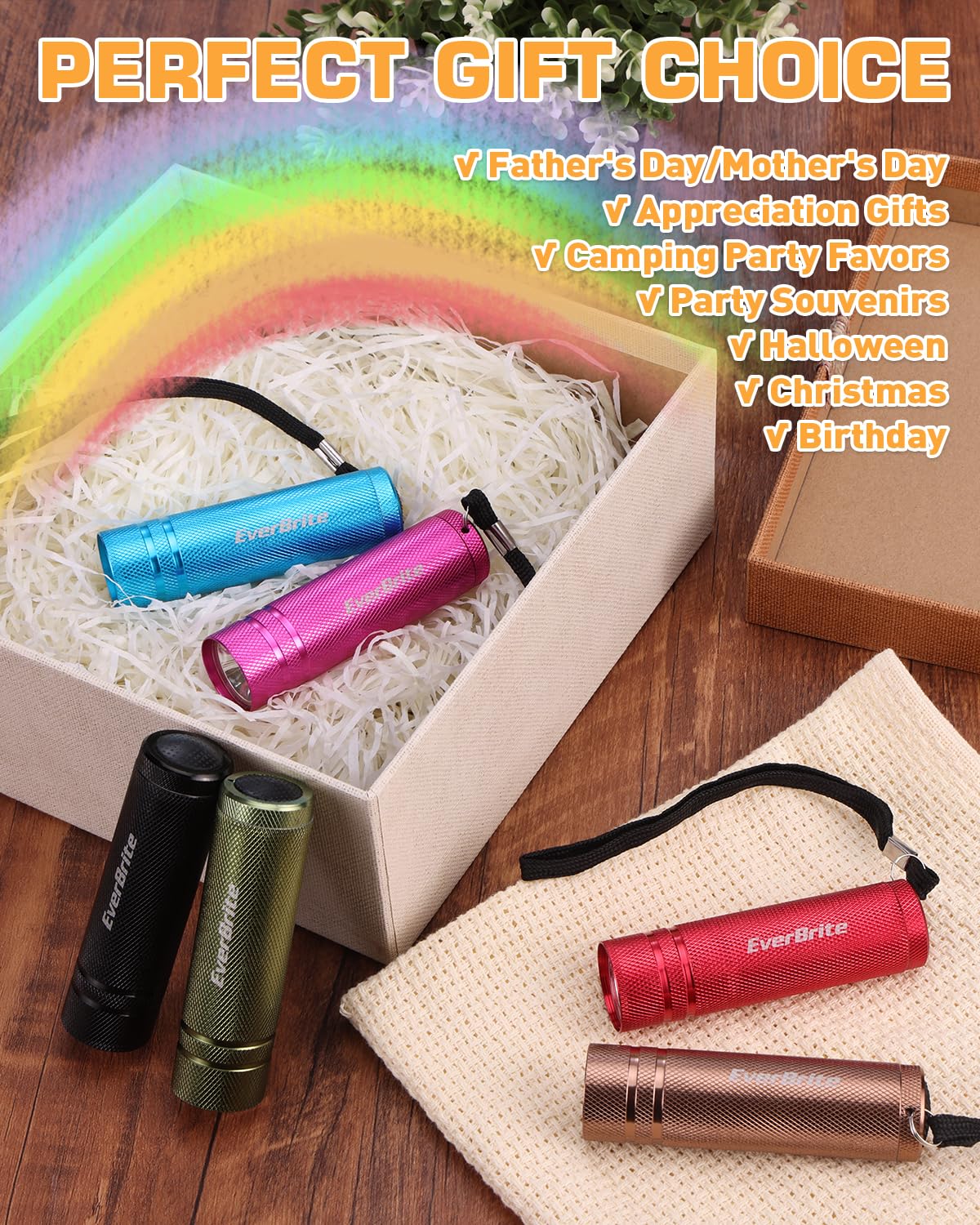 EverBrite 6-Pack Mini Flashlight Set | Aluminum LED Handheld Torches with Lanyard – 18 AAA Batteries Included