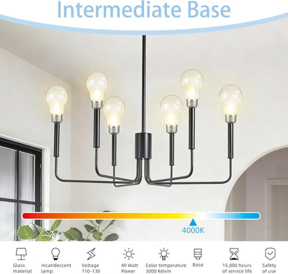 Hoimuv 40W A19 Frosted Rough Service Incandescent Bulbs — 4 Pack
