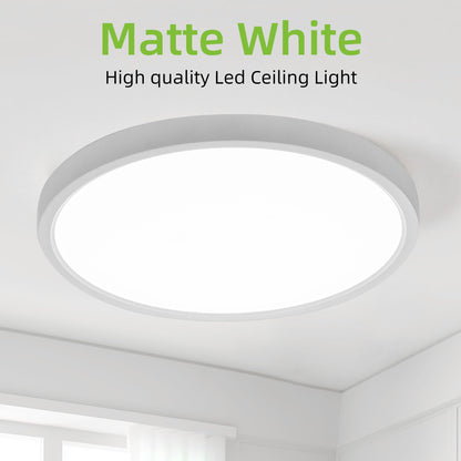 Hykolity 12-Inch Selectable CCT LED Round Flat Panel Light — 24W, 3000K/4000K/5000K, Edge-Lit, Damp Location