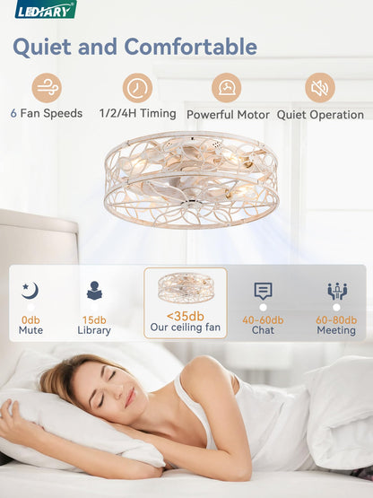 LEDIARY 20-Inch Caged Ceiling Fan with Lights Remote & App Control (White Gold)