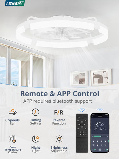 LEDIARY 24-inch Ceiling Fans with Lights & Remote — Low Profile Flush Mount, 3 CCT, Stepless Dimming, 6-Speed DC Motor, App & Remote